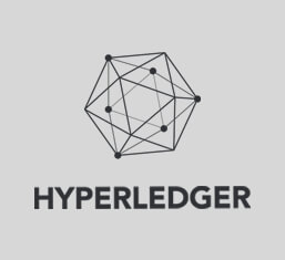 hyperledeger-logo (1)